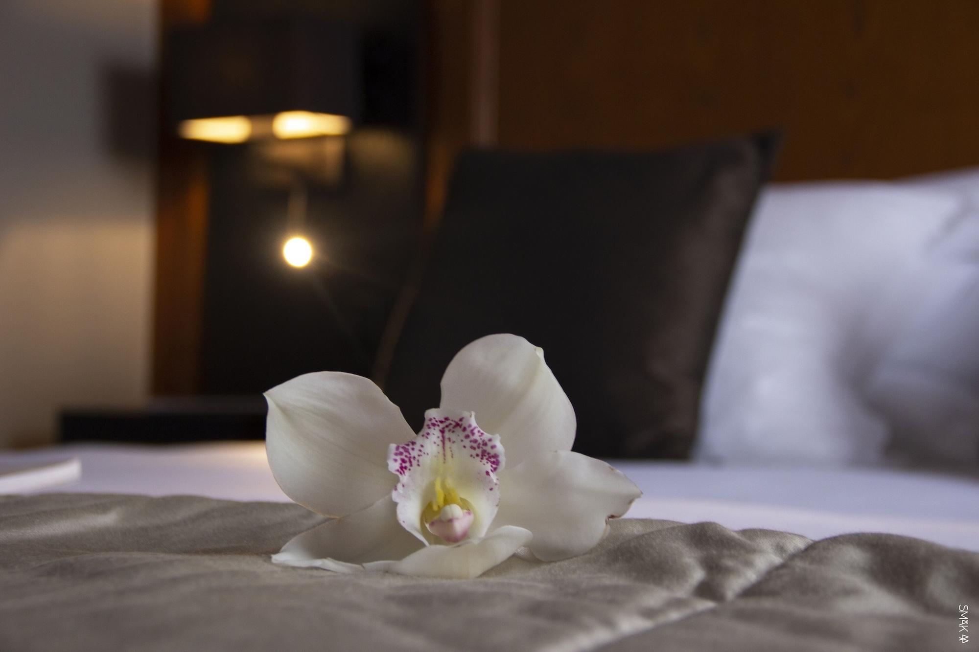 Hotel L'Europe Horbourg-Wihr ภายนอก รูปภาพ